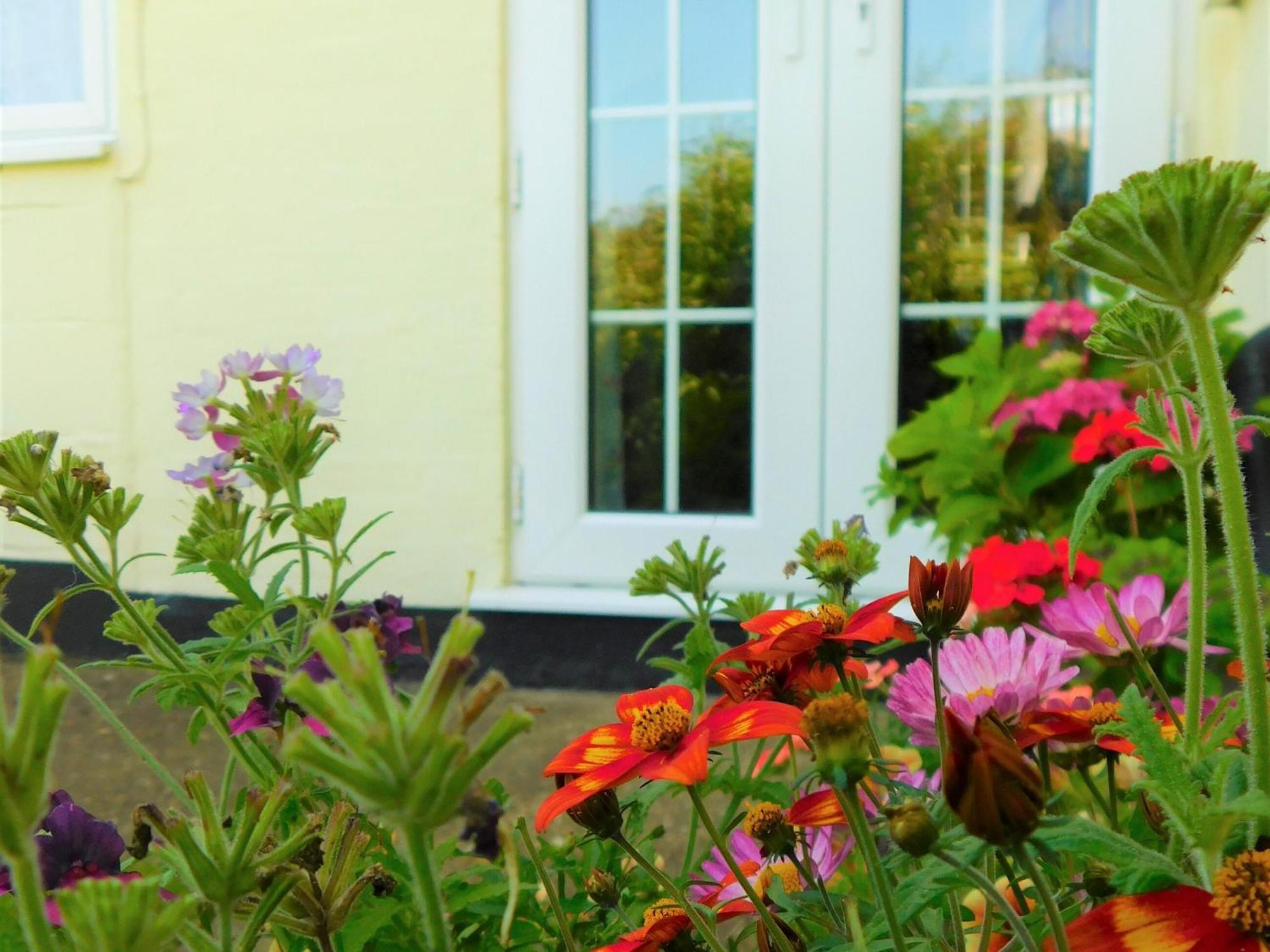 Greenbank Cottage Hilgay Bagian luar foto