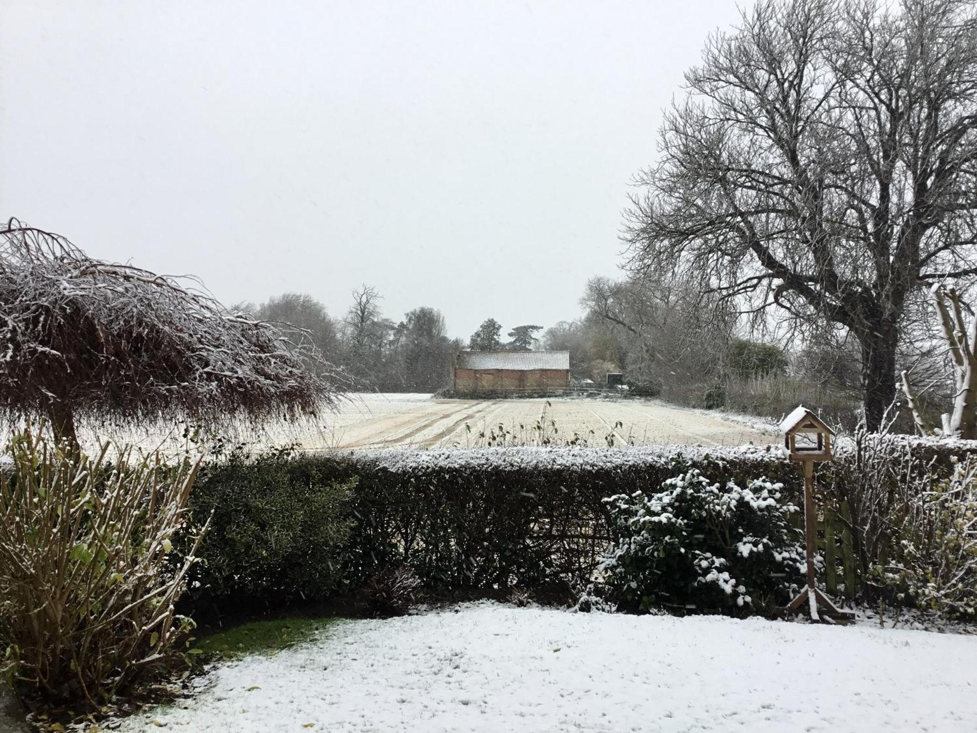 Greenbank Cottage Hilgay Bagian luar foto